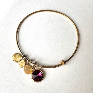Alex and Ani amethyst purple charm bracelet